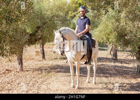 Ein behelmter Reiter, ein bärtiger Kaukasusmann, reitet auf seinem weißen Pferd auf einem von Olivenbäumen umgebenen Feld. Stockfoto