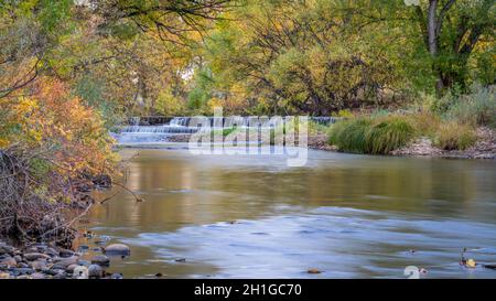 Kleiner Fluss mit einem Staudamm im Herbst - Cache la Poudre River in Fort Collins, Nord-Colorado Stockfoto