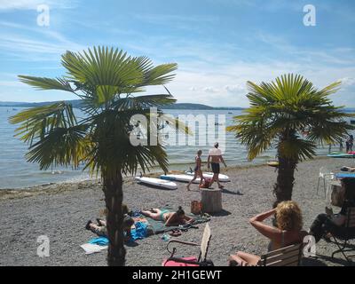 Entspannung unter Palmen - am Campingplatz Sandseele auf der Insel Reichenau wächst ein Haupt von Karibik-Stimmung - Bodensee - Urlaub in Deutschland Stockfoto