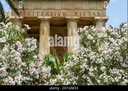 Neoklassizistisches Denkmal für Sir Alexander Ball, umgeben von nerium-Oleander-Bäumen, die mit zarten weißen Blumen bedeckt sind, in den Lower Barrakka Gardens Stockfoto