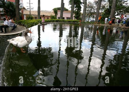 vitoria da Conquist, bahia / brasilien - 28. oktober 2011: Die Menschen werden am See auf dem Tancredo Neves Platz in der Stadt Vitoria da Conquista gesehen. Stockfoto