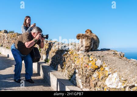 Gibraltar, UK - 18. Mai 2017: Tourist, Foto von einem Affen in den Felsen von Gibraltar. Die einzige wilde Affen Bevölkerung auf dem europäischen Kontinent. Stockfoto