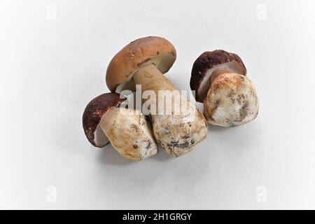 Steinpilze. Herrliche Herbstspezialitäten. Stockfoto