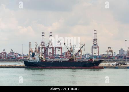 Colombo, Sri Lanka - 25. November 2019: General Cargo Ship Stella Beauty liegt im Hafen von Colombo in Sri Lanka. Stockfoto