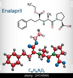 Enalapril, Molekül. Es ist ACE-Hemmstoff zur Behandlung von Bluthochdruck und Herzinsuffizienz. Strukturelle chemische Formel und Molekülmodell. Vecto Stock Vektor