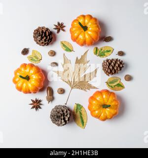 Kreatives Layout von bunten Kürbissen auf weißem Hintergrund. Herbstkonzept. Stockfoto