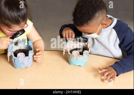 Bildung Vorschule 3-4-jährige Jungen und Mädchen mit Lupe zu sehen, wie ihre Bohnenpflanzen wachsen Stockfoto