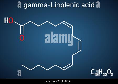 Gamma-Linolensäure, GLA, Gamolensäure-Molekül. Es ist Omega 6, eine mehrfach ungesättigte langkettige Fettsäure, die in Samenölen enthalten ist. Strukturelle chemische Formu Stock Vektor