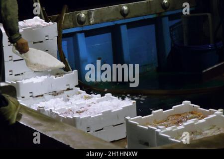 Das italienische Fischerboot kehrt mitten in der Nacht mit Kisten voller frischem Fisch zurück. Hochwertige Fotos Stockfoto