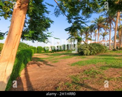 Rasenfläche zwischen Palmen im Resort in Ägypten. Fußweg zwischen grünem Gras im Gebiet des fünf-Sterne-Hotels. Stockfoto