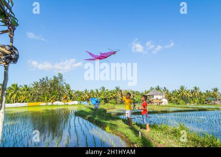 Bali, Indonesien - 17. September 2019: Kinder starten einen Drachen auf einem Reisfeld in Ubud, Bali Island, Indonesien Stockfoto