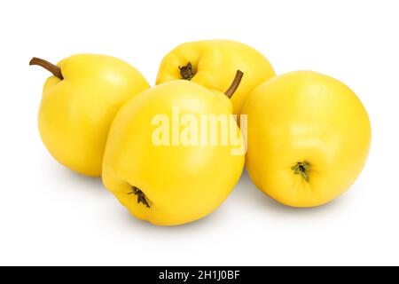 Frische Quitte isoliert auf dem weißen Hintergrund mit Clipping Pfad Und volle Schärfentiefe Stockfoto