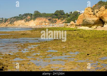 der berühmte Strand von Olhos de Agua in Albufeira. Dieser Strand ist ein Teil des berühmten touristischen Region der Algarve. Stockfoto