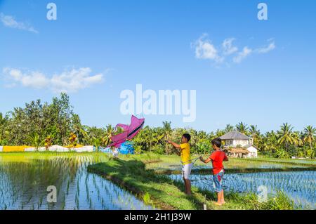 Bali, Indonesien - 17. September 2019: Kinder starten einen Drachen auf einem Reisfeld in Ubud, Bali Island, Indonesien Stockfoto