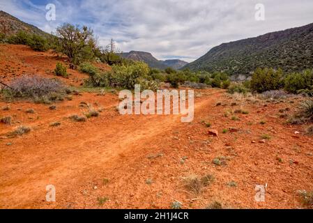 Der Weg, der in den Woods Canyon südlich von Sedona AZ führt. Stockfoto