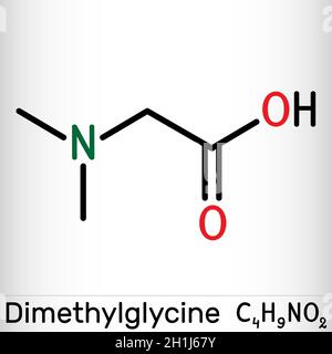 Dimethylglycin, DMG, Molekül. Es ist ein Derivat der Aminosäure Glycin. Chemische Formel des Skeletts. Vektorgrafik Stock Vektor
