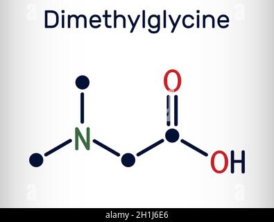 Dimethylglycin, DMG, Molekül. Es ist ein Derivat der Aminosäure Glycin. Chemische Formel des Skeletts. Vektorgrafik Stock Vektor