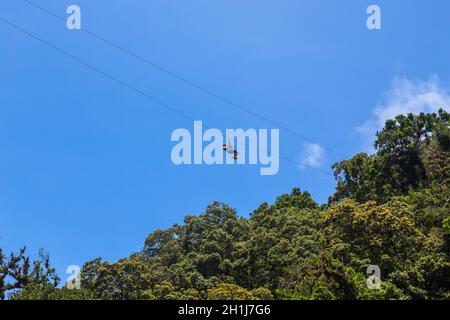 Monteverde, Costa Rica - 26. August 2019: Junge abenteuerliche Frau, die durch den Wald streifst. Monteverde, Costa Rica. Stockfoto