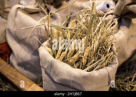 Getrocknete Weizenohren in einem Leinwandbeutel als Displaydekoration auf dem Markt Stockfoto