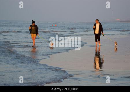 Brighton Beach bei Ebbe, am frühen Morgen. Zwei Frauen, die mit Hunden durch die seichte Brandung laufen. Blick nach Westen in Richtung Shoreham und Worthing. Brighton & Hove, Sussex, England, UKBrighton und Hove Beach bei Ebbe. Silhouetten von Menschen, die bei Sonnenuntergang am Sandstrand entlang wandern. East Sussex, England. Shoreham Power Station in der Ferne Stockfoto