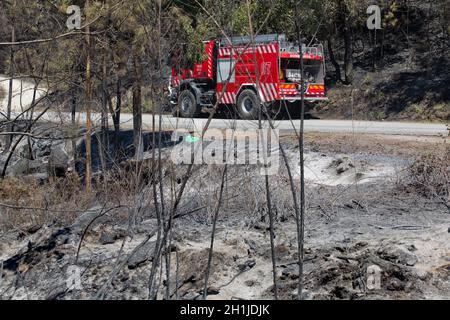 Verbrannten Wald nach einem großen Brand im Norden von Portugal Stockfoto