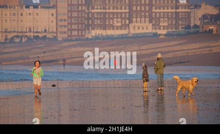 Brighton Beach bei Ebbe, am frühen Morgen. Zwei Frauen, die mit Hunden durch die seichte Brandung laufen. Blick nach Westen in Richtung Shoreham und Worthing. Brighton & Hove, Sussex, England, UKBrighton und Hove Beach bei Ebbe. Silhouetten von Menschen, die bei Sonnenuntergang am Sandstrand entlang wandern. East Sussex, England. Shoreham Power Station in der Ferne Stockfoto