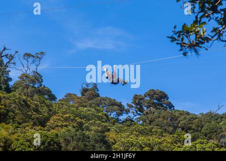 Monteverde, Costa Rica - 26. August 2019: Junge abenteuerliche Frau, die durch den Wald streifst. Monteverde, Costa Rica. Stockfoto