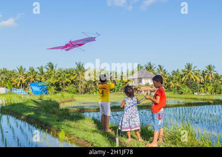 Bali, Indonesien - 17. September 2019: Kinder starten einen Drachen auf einem Reisfeld in Ubud, Bali Island, Indonesien Stockfoto