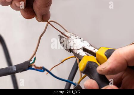 Der Elektriker schneidet die Drähte mit einer Zange. Installation der elektrischen Verkabelung. Stockfoto