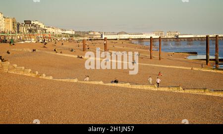 Kiesstrände, die von Hove nach Osten in Richtung Brighton blicken, mit dem Palace Pier im Hintergrund. Brighton & Hove, East Sussex, England, Großbritannien Stockfoto