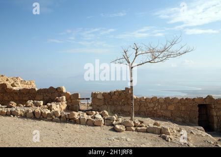 Festung Masada in Israel Stockfoto