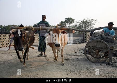 Ziegelfabrik. In Sarberia, Westbengalen, Indien, sind Werkzeuge und Maschinen zur Herstellung von Ziegeln sehr rudimentär. Stockfoto