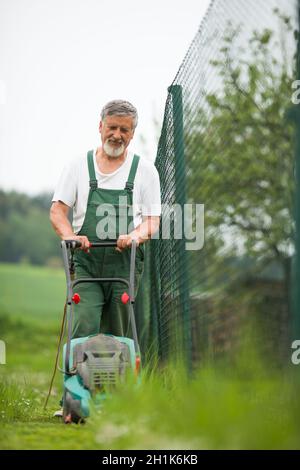 Senior Mann im Garten (Farbbild), kümmert sich gut um seine Obstbäume von einer Leiter Stockfoto