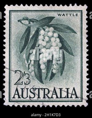 Stempel gedruckt in Australien zeigt Golden Wattle, Acacia Pycnantha, Baum, circa 1959. Stockfoto