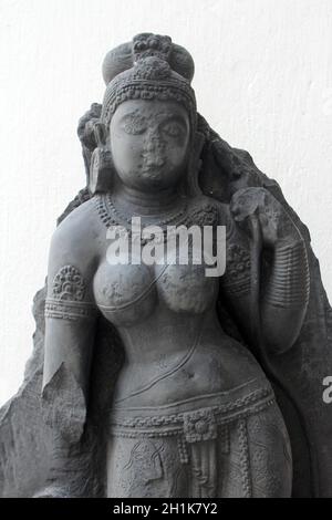 Weiße Tara, aus dem 10th. Jahrhundert in Bihar gefunden jetzt im indischen Museum in Kalkutta ausgesetzt Stockfoto