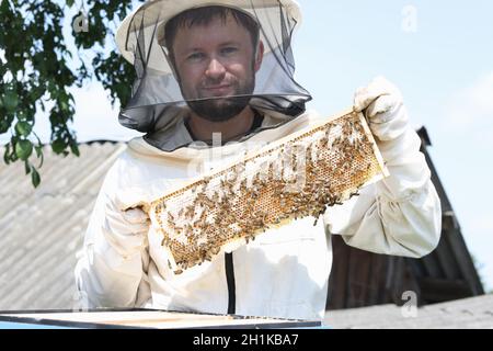 Imker im Schutzanzug hält Waben mit Bienen Stockfoto