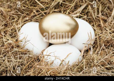 Goldenes Ei im Nest auf weißen Eiern, Investition, Pensionskasse, Versicherungsplan-Konzept Stockfoto