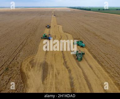 Krasnodar, Russland - 22 Juli 2017: Ernte von Weizen Harvester. Landwirtschaftliche Maschinen, die Ernte auf dem Feld. Landwirtschaftliche Maschinen in Betrieb. Stockfoto