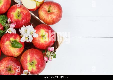 Äpfel Früchte rote Apfelfrüchte mit Blättern von oben mit Copyspace Kopierraum auf einem Holzbrett Draufsicht Stockfoto