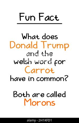 Donald Trump und Welsh Carrot Stockfoto