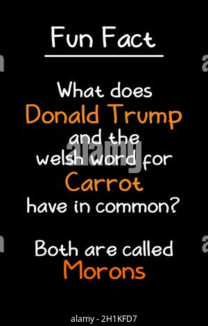 Donald Trump und Welsh Carrot Stockfoto