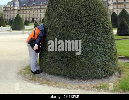 Ein Mann versteckt seinen Kopf im Laub eines Baumes. Das Konzept der Vermeidung von Problemen sowie das Erlernen neuer Dinge und Neugier. Verstecken Sie den Kopf in den s Stockfoto