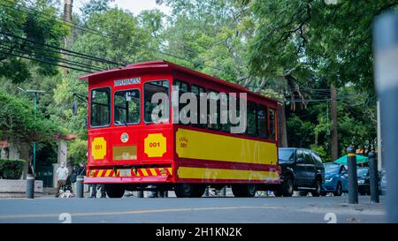 Niederwinkelbild eines rot-gelben Trolleywagens vor mehreren Autos in Coyoacan, umgeben von Bäumen Stockfoto