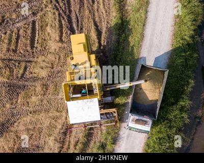 Bukit Mertajam, Penang/Malaysia - Apr 19 2019: Luftaufnahme Harvester und LKW auf Reisfeld. Stockfoto