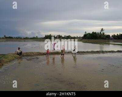 Penaga, Penang/Malaysia - Nov 03 2019: Luftbild Kampung Kinder spielen im Reisfeld. Stockfoto