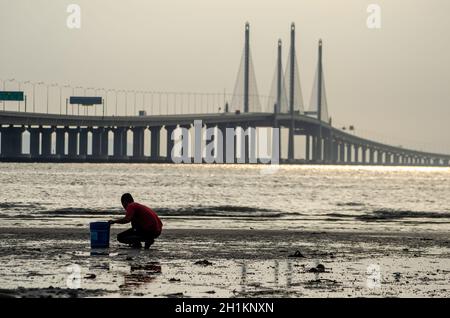George Town, Penang/Malaysia - Dez 28 2019: Lokale Grabungsmuschel mit Eimer in der Nähe der Penang Second Bridge. Stockfoto