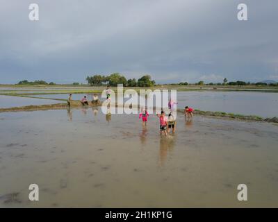 Penaga, Penang/Malaysia - Nov 03 2019: Malaysische Kinder spielen während der Wassersaison auf dem Reisfeld. Stockfoto