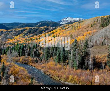 Lebhafte Herbstlandschaft und Bergkulisse entlang der Südgabel des San Miguel River in der Nähe von Telluride Colorado. Stockfoto