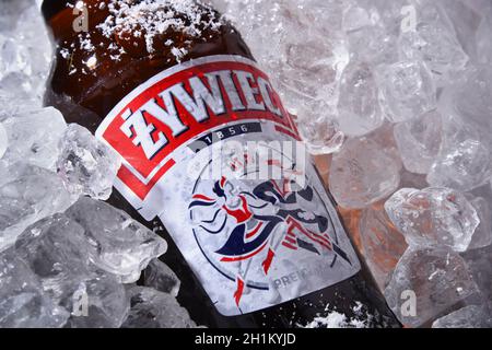 POZNAN, POL - Okt 8, 2020: Flasche Zywiec Beer, ein blasses Lager, das in Polen von der Zywiec Group gebraut wird, die sich seitdem im Besitz von Heineken International befindet Stockfoto