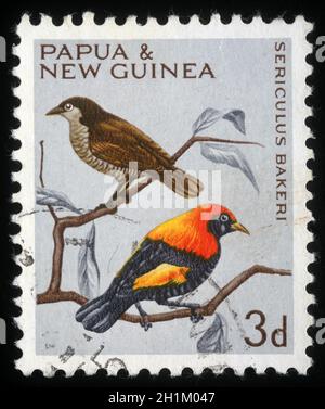 Die in Papua-Neuguinea gedruckte Briefmarke zeigt einen Vogel, sericulus bakeri, um 1991 Stockfoto